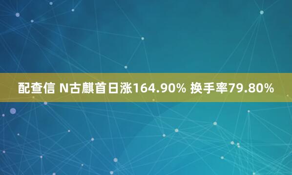 配查信 N古麒首日涨164.90% 换手率79.80%