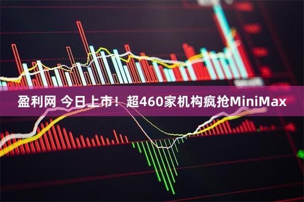 盈利网 今日上市！超460家机构疯抢MiniMax