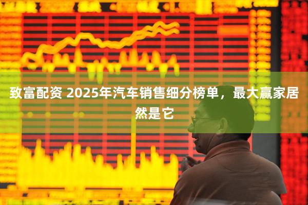 致富配资 2025年汽车销售细分榜单，最大赢家居然是它