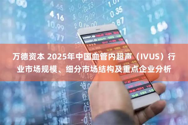 万德资本 2025年中国血管内超声（IVUS）行业市场规模、细分市场结构及重点企业分析
