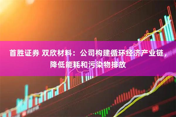 首胜证券 双欣材料：公司构建循环经济产业链，降低能耗和污染物排放