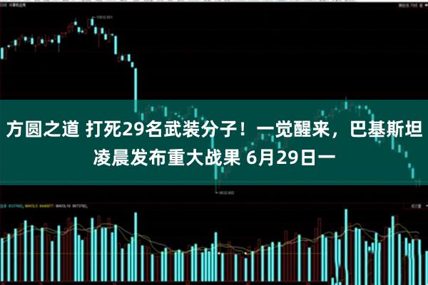 方圆之道 打死29名武装分子！一觉醒来，巴基斯坦凌晨发布重大战果 6月29日一